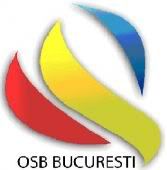 OSB Bucureşti, Basarabia 1918-2011, Unirea între realitate şi vis, Concurs, Festivalul Zilele Basarabiei, Bucureşti, ediţia 2011