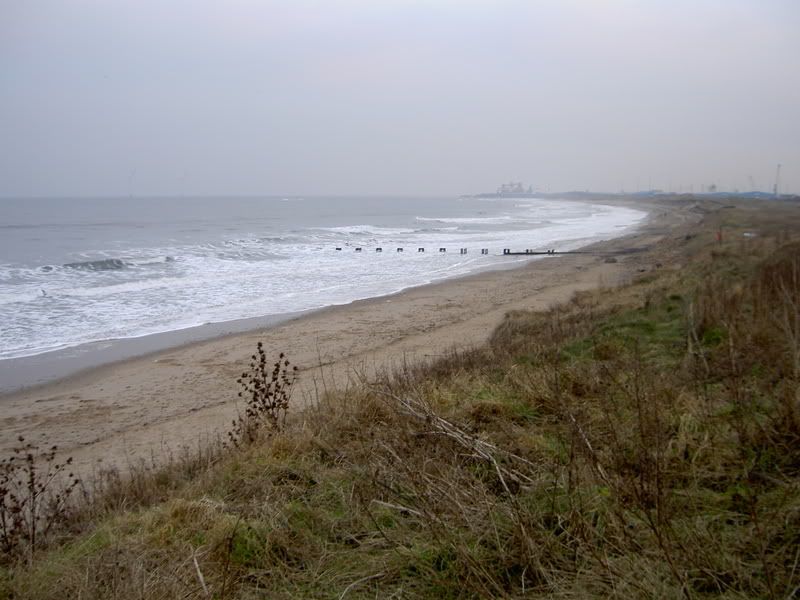 PICT2479.jpg