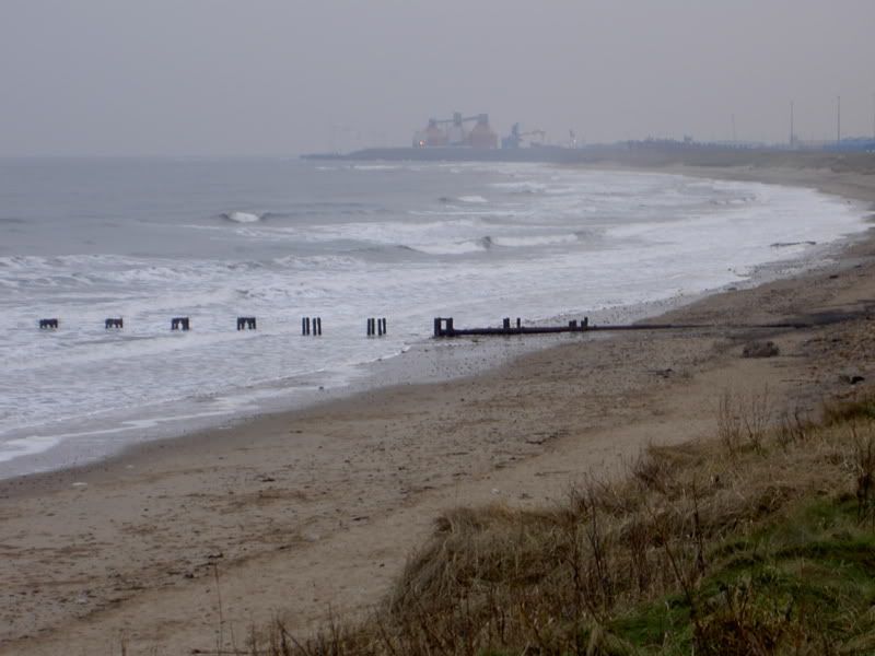 PICT2480.jpg