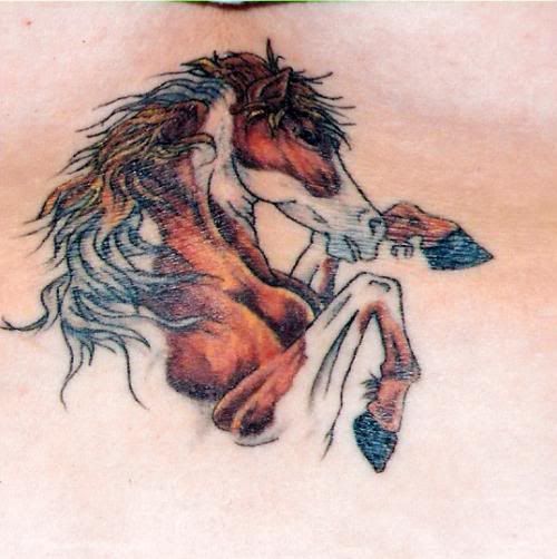 Tattoos Paint Horse Tattoo
