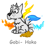 Gobi Hoko