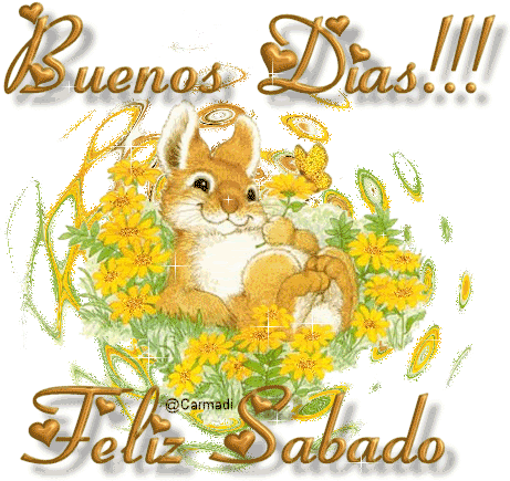 sabado