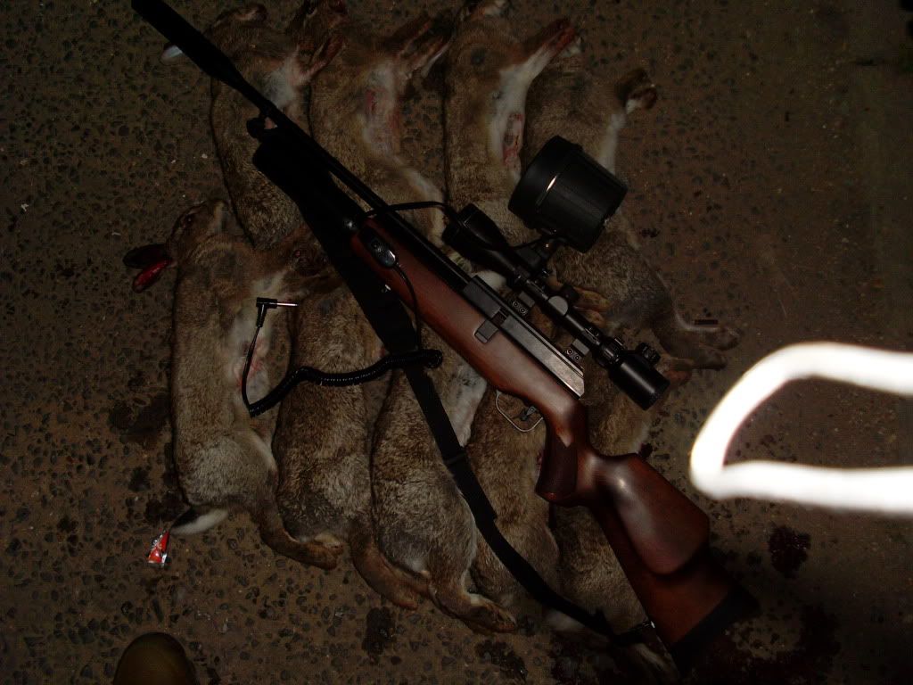 161008rabbits002.jpg