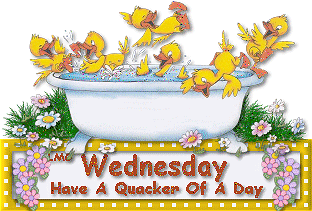 HAPPY WEDNESDAY Pictures, Images and Photos