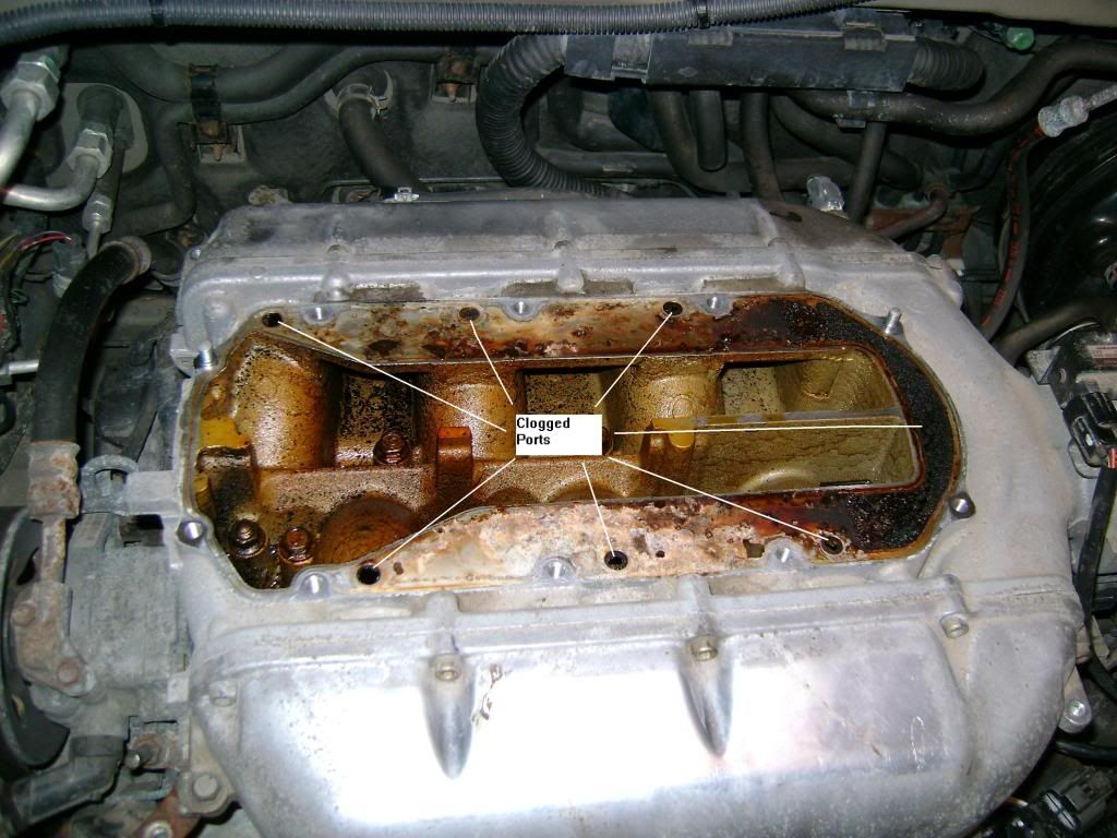 Honda accord egr ports clogged #2