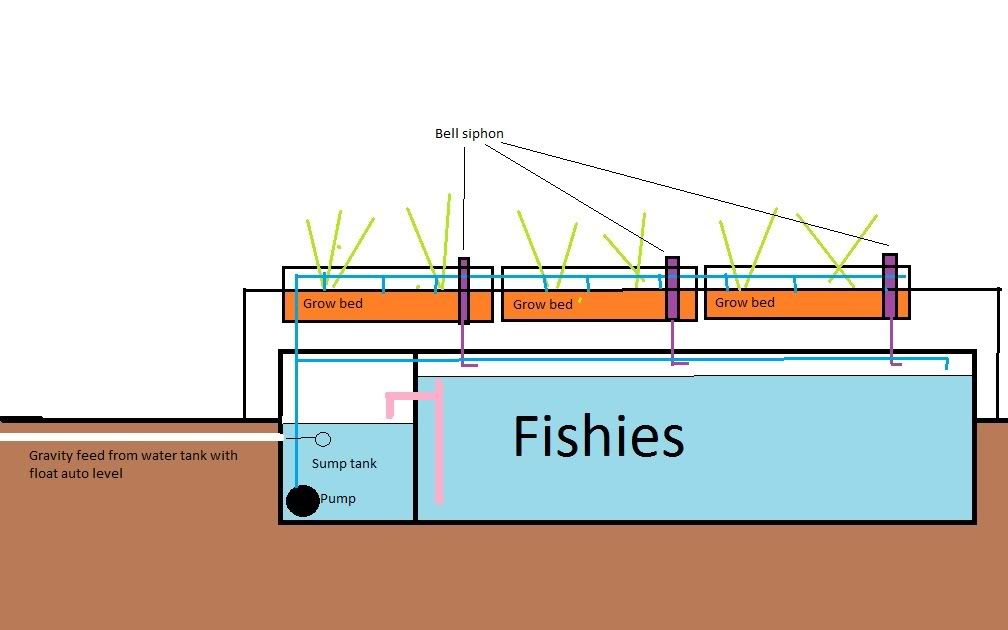 Need design help for hybrid system | Practical Aquaponics Discussion ...