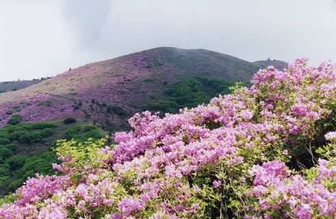 [Resim: 2008042300396_0.jpg]