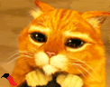 cat_shrek_gif_320_320_256_922337203.gif