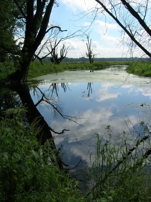 Minnesota Valley Wildlife Refuge