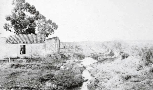 Viejo_arroyo_maldonado2.jpg?t=1242428502