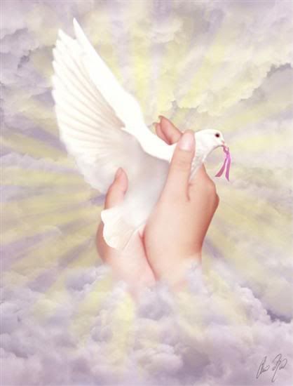 Dove of Peace Pictures, Images and Photos