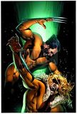 Wolverine_Fighting_Sabertooth.jpg w image by deepredtiger