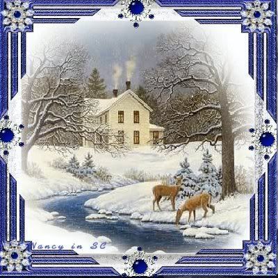 winter Pictures, Images and Photos