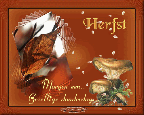 herfst Pictures, Images and Photos