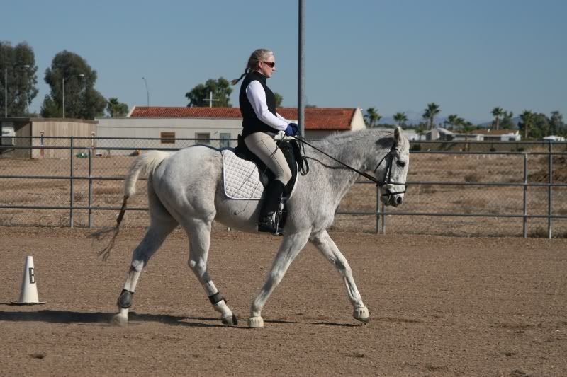 IMAGE: http://i262.photobucket.com/albums/ii96/ScottDR/Dot%20and%20Sarah/DotDec152007091resize.jpg