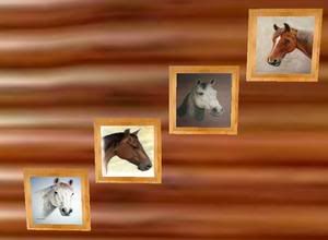 horse portrait group