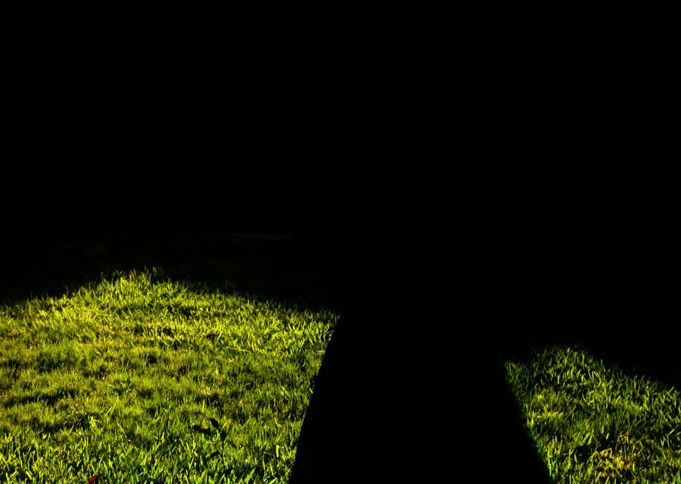  photo Shadow in the Grass_zpsl96ll1mn.jpg
