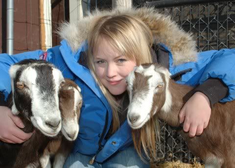 Goat pics! :) - Goats