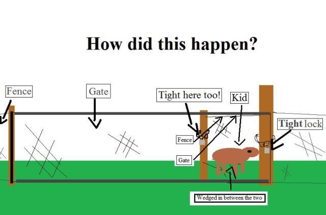 Names associated with magic... - Goats