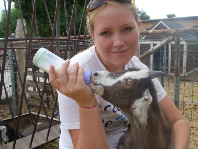 Goat pics! :) - Goats