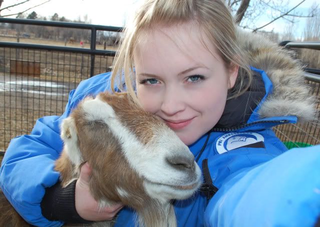 Goat pics! :) - Goats