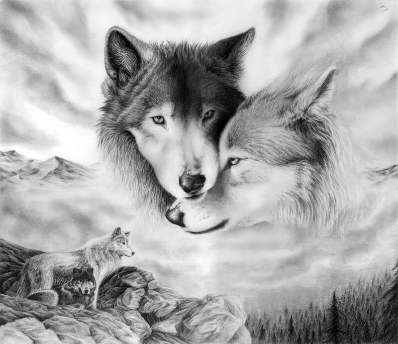 black and white wolf drawings. wolves, lack and white