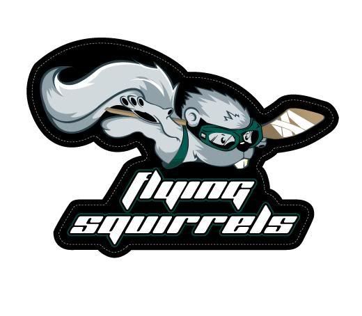 new-Flyingsquirrel-logo-color.jpg