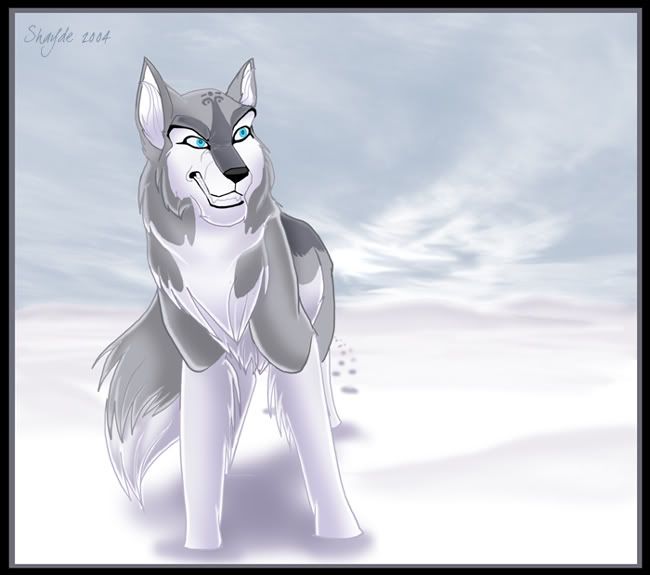 Ice_Wolf.jpg Blizzard image by hurricanestar15
