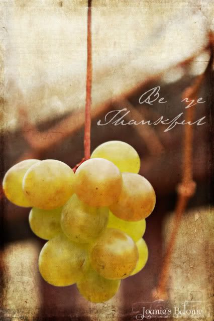thankful grapes