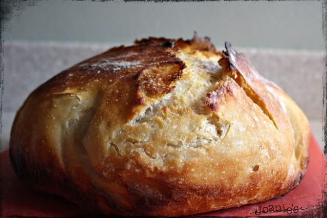 28- crusty bread
