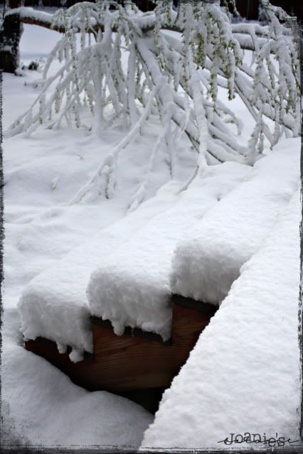 snow on steps