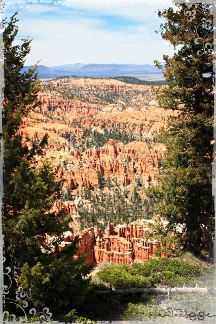 Bryce Canyon,Utah