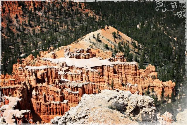 Bryce Canyon,Utah