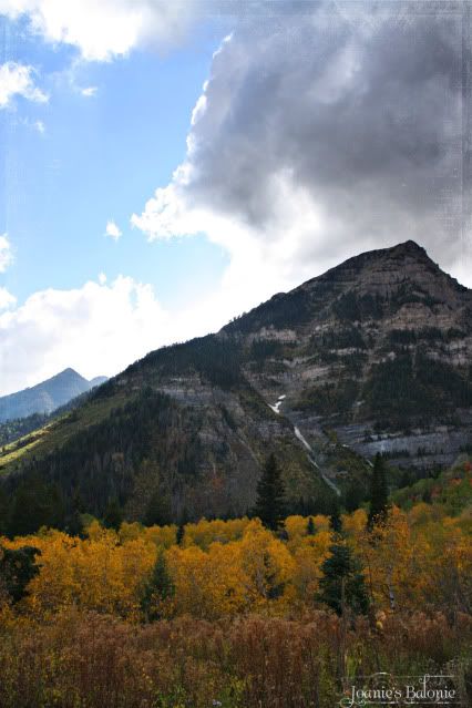 clouds & aspen