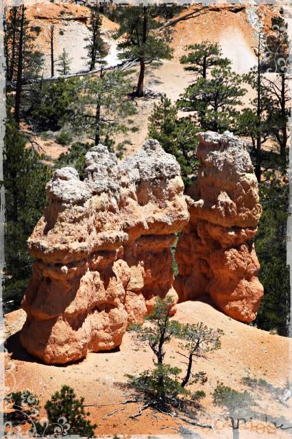 Bryce Canyon,Utah