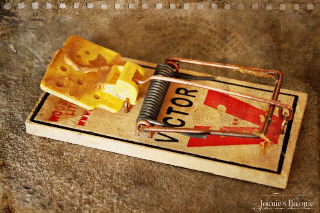 mousetrap