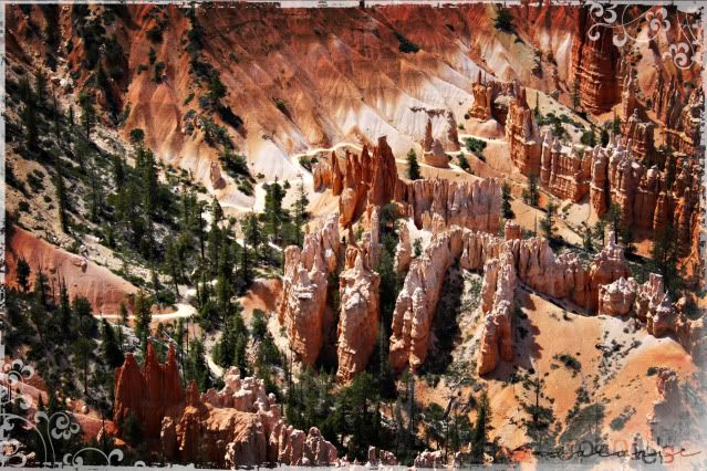 Bryce Canyon,Utah