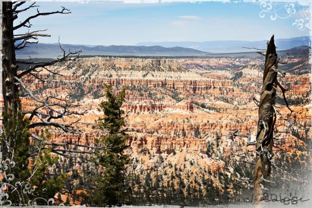 Bryce Canyon,Utah