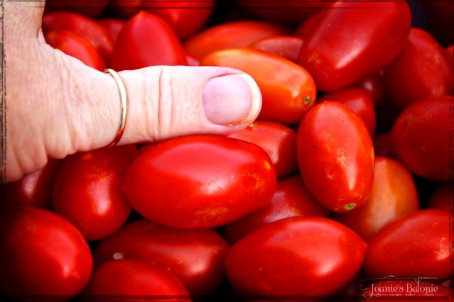 mutant  grape tomatoes