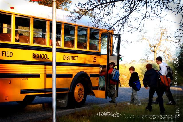083- school bus