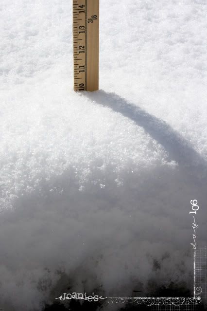 106- 10&quot; snow