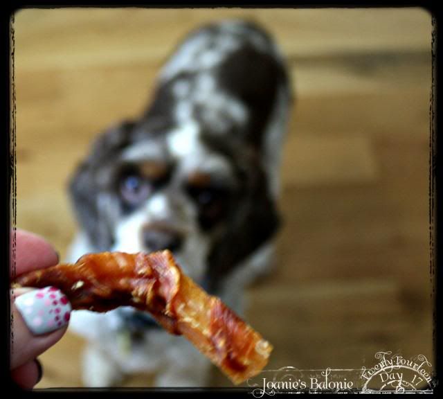 good dogs get treats photo 17-gooddog_zpsab02ced9.jpg