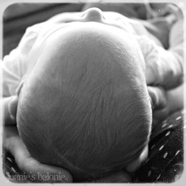 head photo 17-head_zps1561ec48.jpg