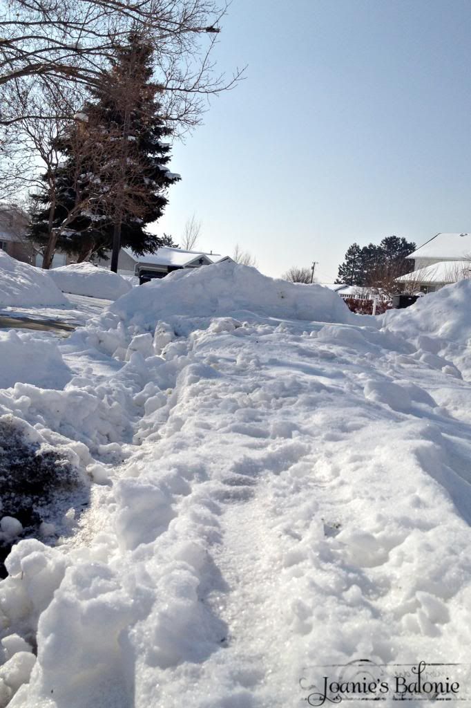 snow berm photo 17-snowberm_zps50979b4b.jpg