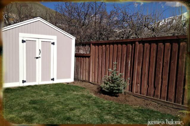 anita's new home photo 30-anitasnewhome_zps5dc23537.jpg
