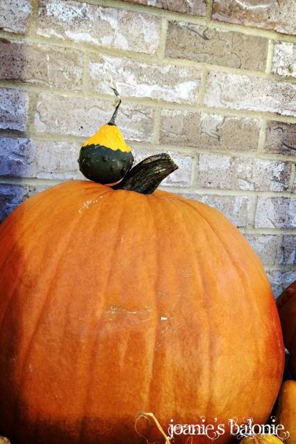 pumpkin stack photo 30-pumpkinstack_zps0d818265.jpg