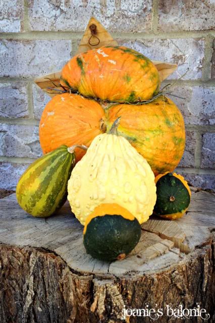 star pumpkin photo 30-starpumpkin_zpscba11667.jpg