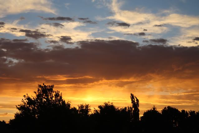 sunset sooc