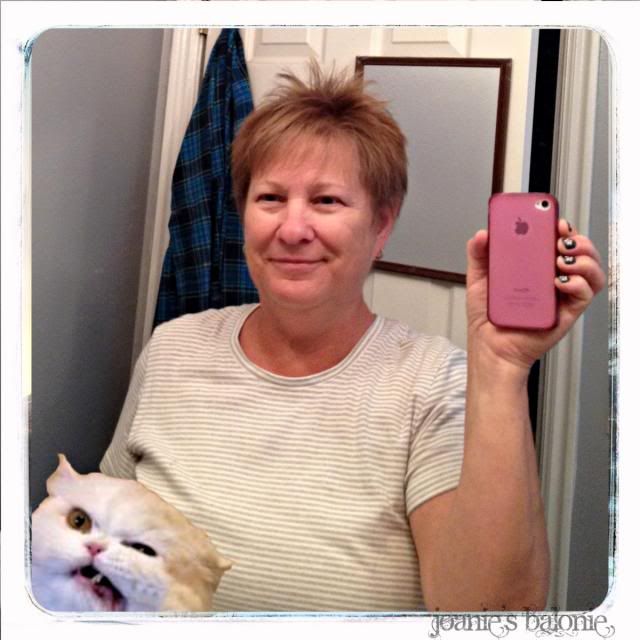 photobomb pirate cat rooster hair photo 9-photobombpiratecatroosterhair_zps13d127ba.jpg