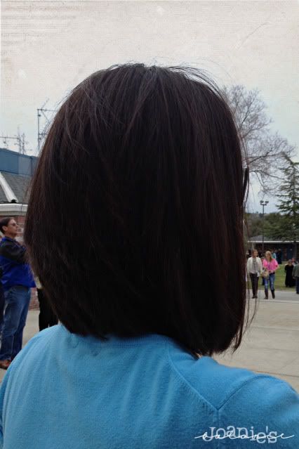 bek's hair